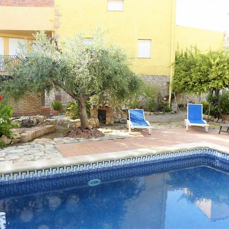 Hort De La Cinteta Villa Alcover Luaran gambar