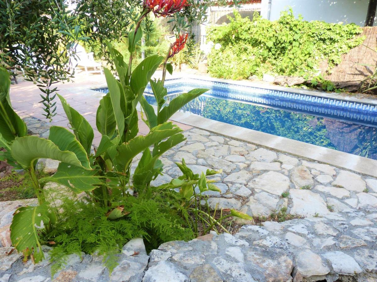Hort De La Cinteta Villa Alcover Luaran gambar