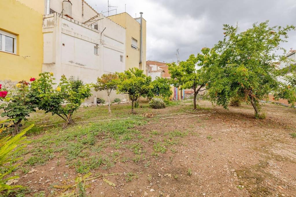 Hort De La Cinteta Villa Alcover Luaran gambar